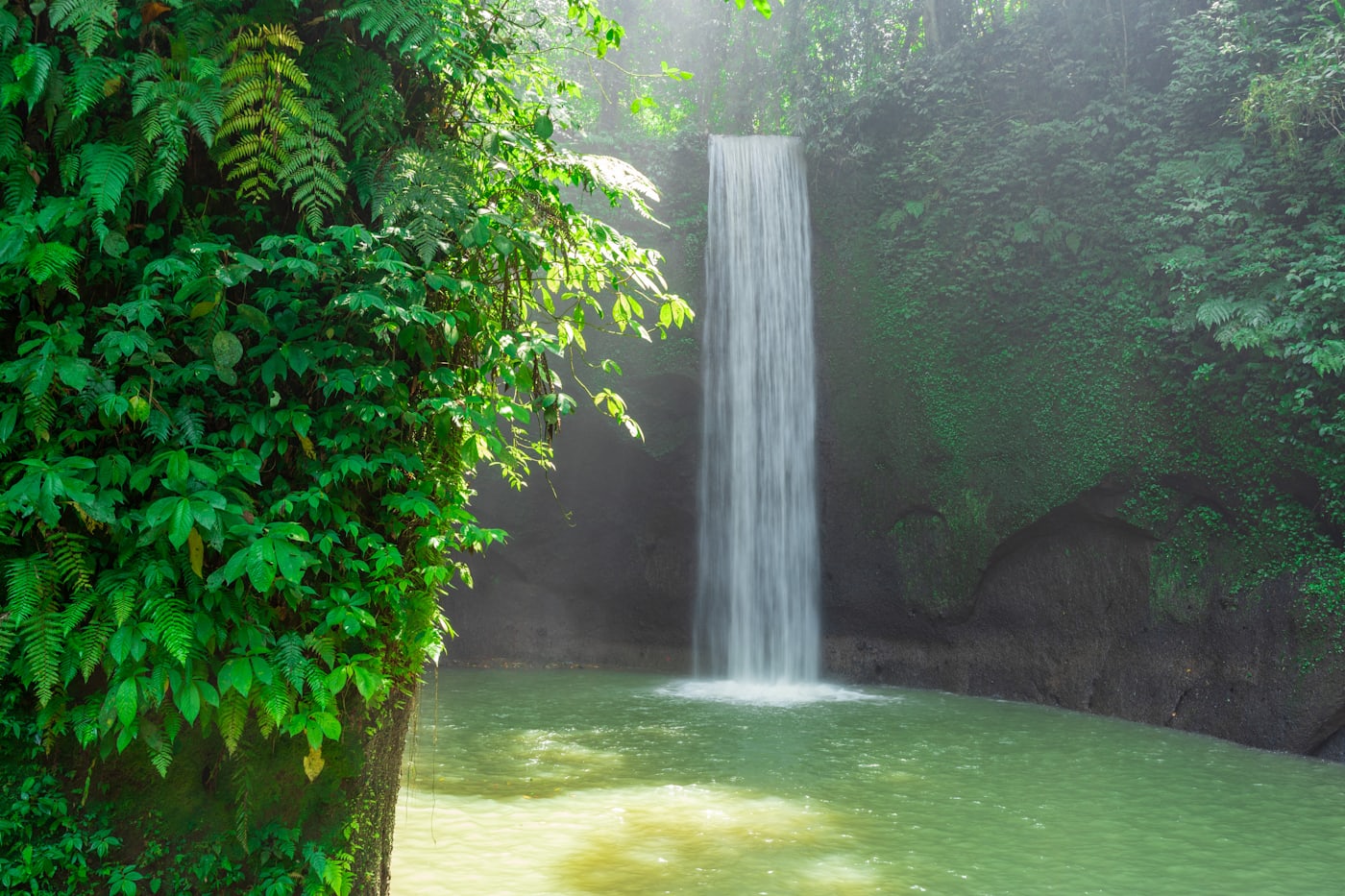 Jungle waterfall in Koh Phangan